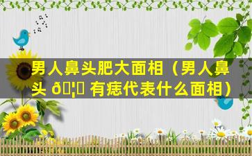 男人鼻头肥大面相（男人鼻头 🦊 有痣代表什么面相）